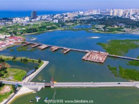 BIM技术在冯家江大桥工程中的应用
