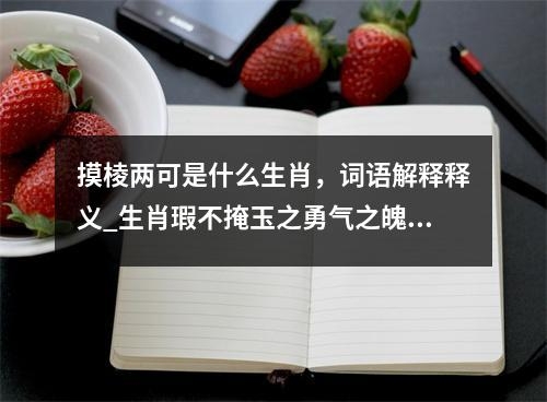 摸棱两可是什么生肖，词语解释释义_生肖瑕不掩玉之勇气之魄实时意释