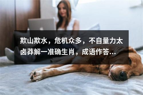欺山欺水，危机众多，不自量力太卤莽解一准确生肖，成语作答释义落实_生肖灵活应变实时意释
