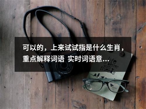 可以的，上来试试指是什么生肖，重点解释词语  实时词语意释