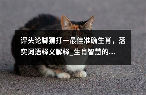 评头论脚猜打一最佳准确生肖，落实词语释义解释_生肖智慧的舞者实时意释