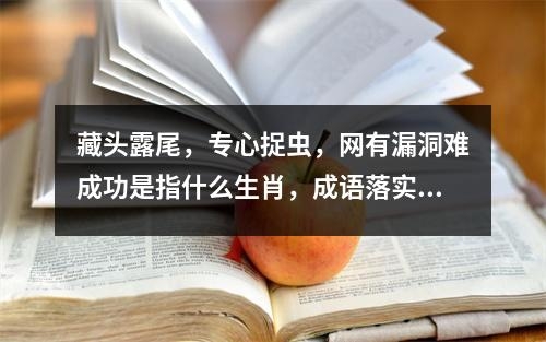 藏头露尾，专心捉虫，网有漏洞难成功是指什么生肖，成语落实落实解释   实时词语意释