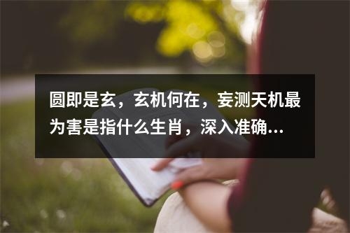 圆即是玄，玄机何在，妄测天机最为害是指什么生肖，深入准确解读释义   实时词语意释