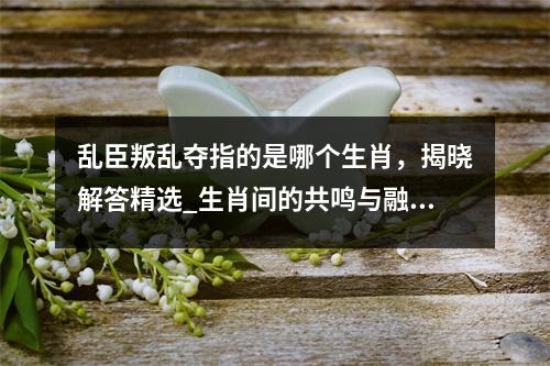 乱臣叛乱夺指的是哪个生肖，揭晓解答精选_生肖间的共鸣与融合实时意释