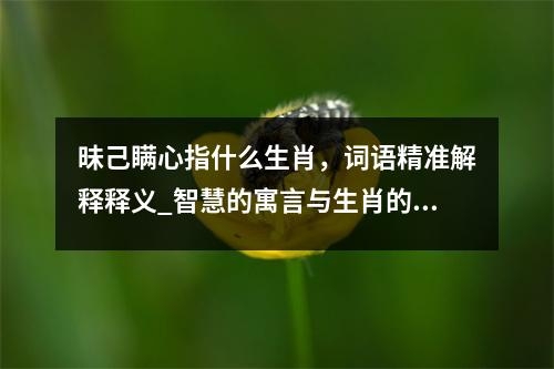 昧己瞒心指什么生肖，词语精准解释释义_智慧的寓言与生肖的秘密实时意释