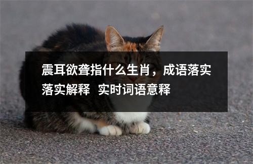 震耳欲聋指什么生肖，成语落实落实解释   实时词语意释