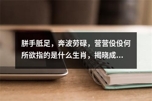 胼手胝足，奔波劳碌，营营伇伇何所欲指的是什么生肖，揭晓成语解释作答   实时词语意释