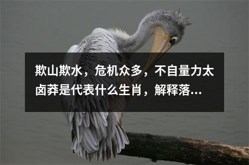 欺山欺水，危机众多，不自量力太卤莽是代表什么生肖，解释落实词语释义_生肖活泼机灵的代言实时意释