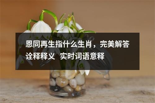恩同再生指什么生肖，完美解答诠释释义   实时词语意释