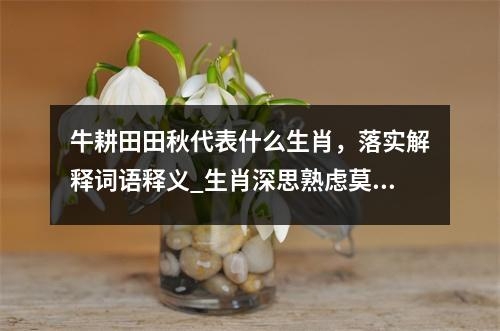 牛耕田田秋代表什么生肖，落实解释词语释义_生肖深思熟虑莫错失良机实时意释