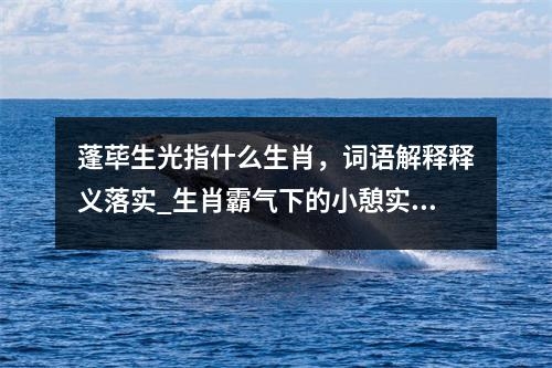 蓬荜生光指什么生肖，词语解释释义落实_生肖霸气下的小憩实时意释