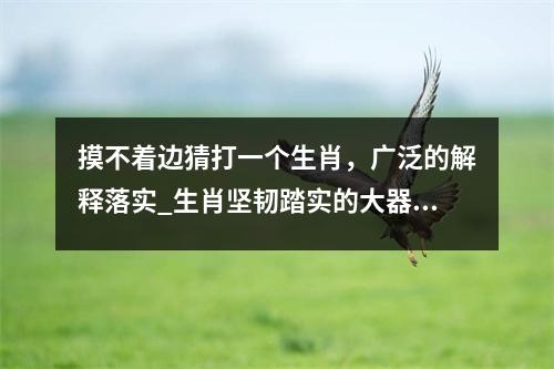 摸不着边猜打一个生肖，广泛的解释落实_生肖坚韧踏实的大器实时意释