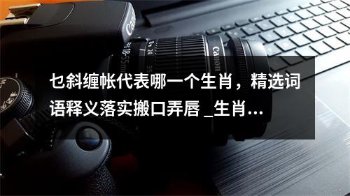 乜斜缠帐代表哪一个生肖，精选词语释义落实搬口弄唇 _生肖灵动中蕴藏坚韧实时意释