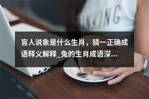 盲人说象是什么生肖，猜一正确成语释义解释_兔的生肖成语深度解析实时意释