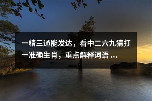一精三通能发达，看中二六九猜打一准确生肖，重点解释词语  实时词语意释
