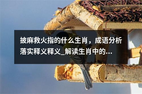 披麻救火指的什么生肖，成语分析落实释义释义_解读生肖中的决策智慧实时意释