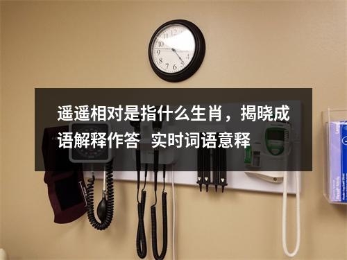 遥遥相对是指什么生肖，揭晓成语解释作答   实时词语意释
