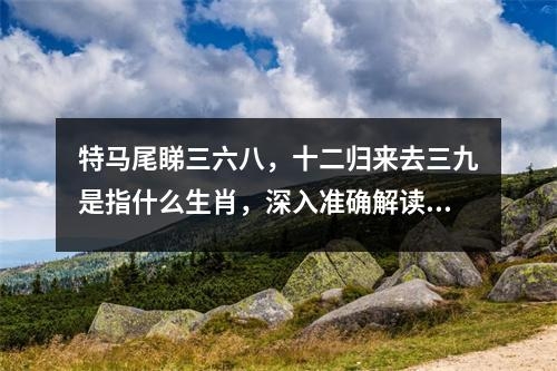 特马尾睇三六八，十二归来去三九是指什么生肖，深入准确解读释义   实时词语意释