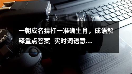 一朝成名猜打一准确生肖，成语解释重点答案   实时词语意释