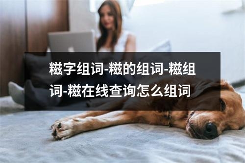 糍字组词-糍的组词-糍组词-糍在线查询怎么组词