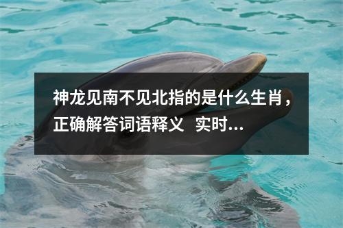 神龙见南不见北指的是什么生肖，正确解答词语释义   实时词语意释