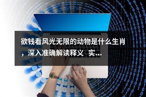 欲钱看风光无限的动物是什么生肖，深入准确解读释义   实时词语意释