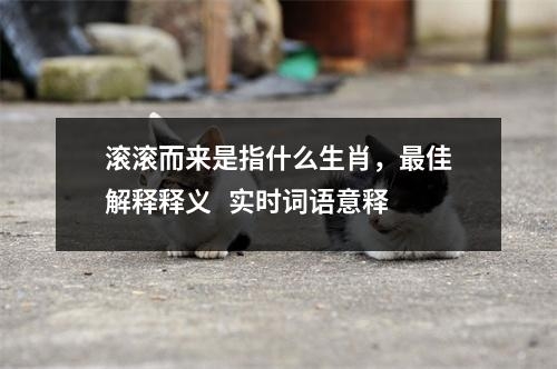 滚滚而来是指什么生肖，最佳解释释义   实时词语意释
