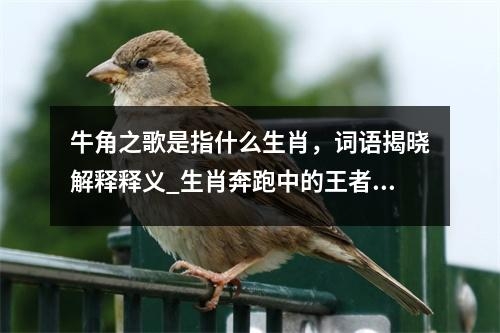 牛角之歌是指什么生肖，词语揭晓解释释义_生肖奔跑中的王者实时意释