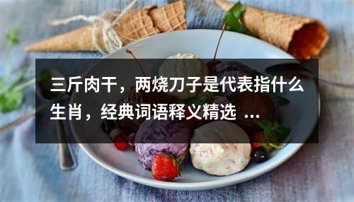 三斤肉干，两烧刀子是代表指什么生肖，经典词语释义精选   实时词语意释
