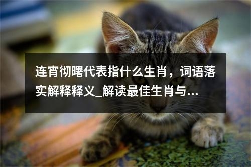 连宵彻曙代表指什么生肖，词语落实解释释义_解读最佳生肖与成语作答释义实时意释