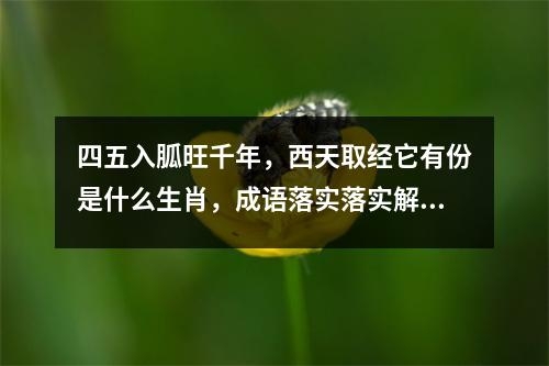 四五入胍旺千年，西天取经它有份是什么生肖，成语落实落实解释   实时词语意释