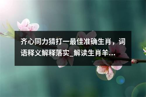 齐心同力猜打一最佳准确生肖，词语释义解释落实_解读生肖羊实时意释