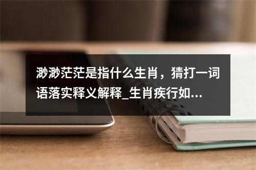 渺渺茫茫是指什么生肖，猜打一词语落实释义解释_生肖疾行如风实时意释