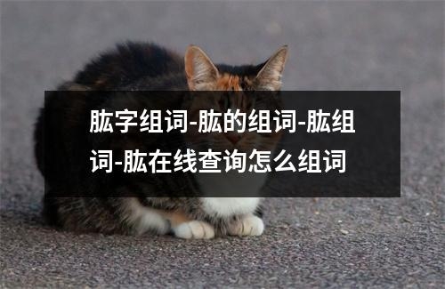 肱字组词-肱的组词-肱组词-肱在线查询怎么组词