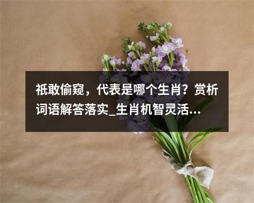 祇敢偷窥，代表是哪个生肖？赏析词语解答落实_生肖机智灵活的理财家实时意释
