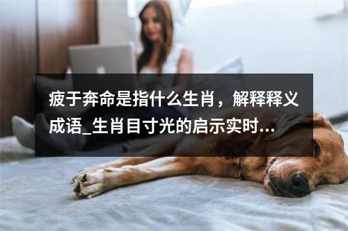 疲于奔命是指什么生肖，解释释义成语_生肖目寸光的启示实时意释