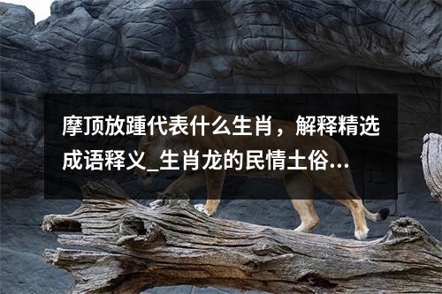 摩顶放踵代表什么生肖，解释精选成语释义_生肖龙的民情土俗实时意释