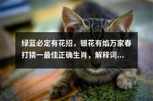 绿蓝必定有花招，银花有焰万家春打猜一最佳正确生肖，解释词语落实释义_生肖隐而不发的力量实时意释