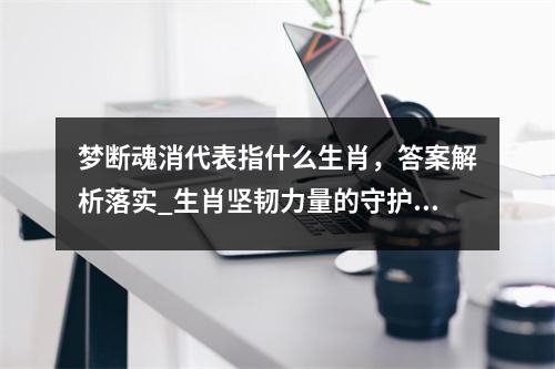 梦断魂消代表指什么生肖，答案解析落实_生肖坚韧力量的守护者实时意释