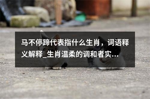 马不停蹄代表指什么生肖，词语释义解释_生肖温柔的调和者实时意释