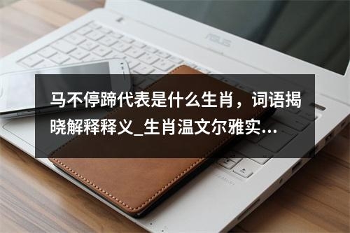 马不停蹄代表是什么生肖，词语揭晓解释释义_生肖温文尔雅实时意释