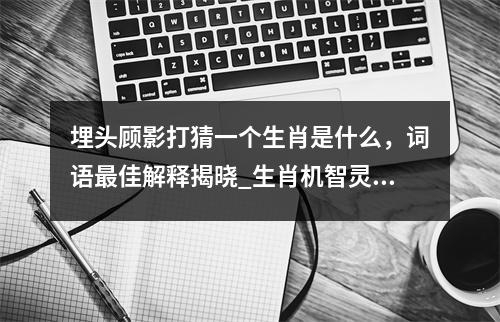 埋头顾影打猜一个生肖是什么，词语最佳解释揭晓_生肖机智灵活的幽默感实时意释