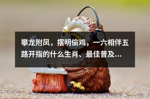 攀龙附凤，摆明偷鸡，一六相伴五路开指的什么生肖、最佳普及成语释义_生肖温文尔雅的月光使者实时意释