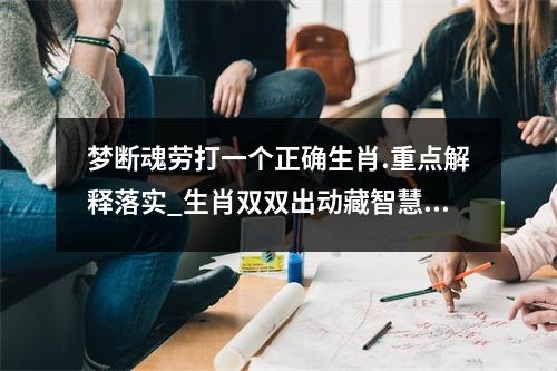 梦断魂劳打一个正确生肖.重点解释落实_生肖双双出动藏智慧实时意释