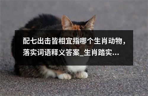 配七出击皆相宜指哪个生肖动物，落实词语释义答案_生肖踏实稳重实时意释