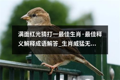 满面红光猜打一最佳生肖·最佳释义解释成语解答_生肖威猛无畏的森林王者实时意释