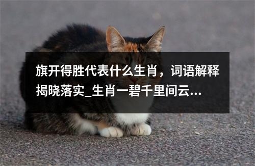 旗开得胜代表什么生肖，词语解释揭晓落实_生肖一碧千里间云雾缭绕实时意释