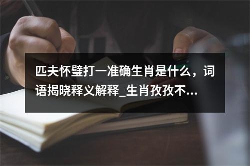 匹夫怀璧打一准确生肖是什么，词语揭晓释义解释_生肖孜孜不倦实时意释