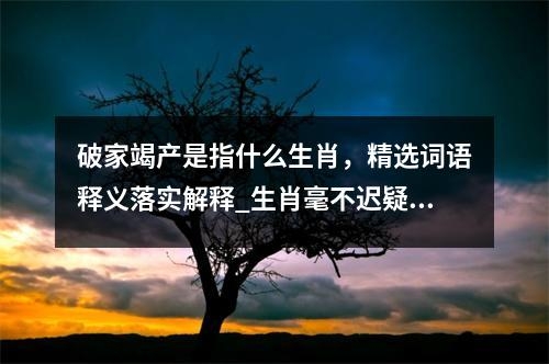 破家竭产是指什么生肖，精选词语释义落实解释_生肖毫不迟疑代表什么生肖实时意释