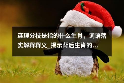 连理分枝是指的什么生肖，词语落实解释释义_揭示背后生肖的寓意实时意释